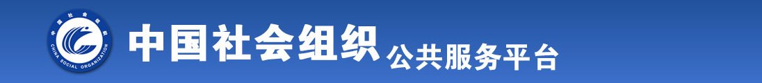 男插女逼网站全国社会组织信息查询